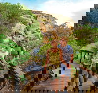 Woody Island Nature Reserve - New South Wales Tourism 