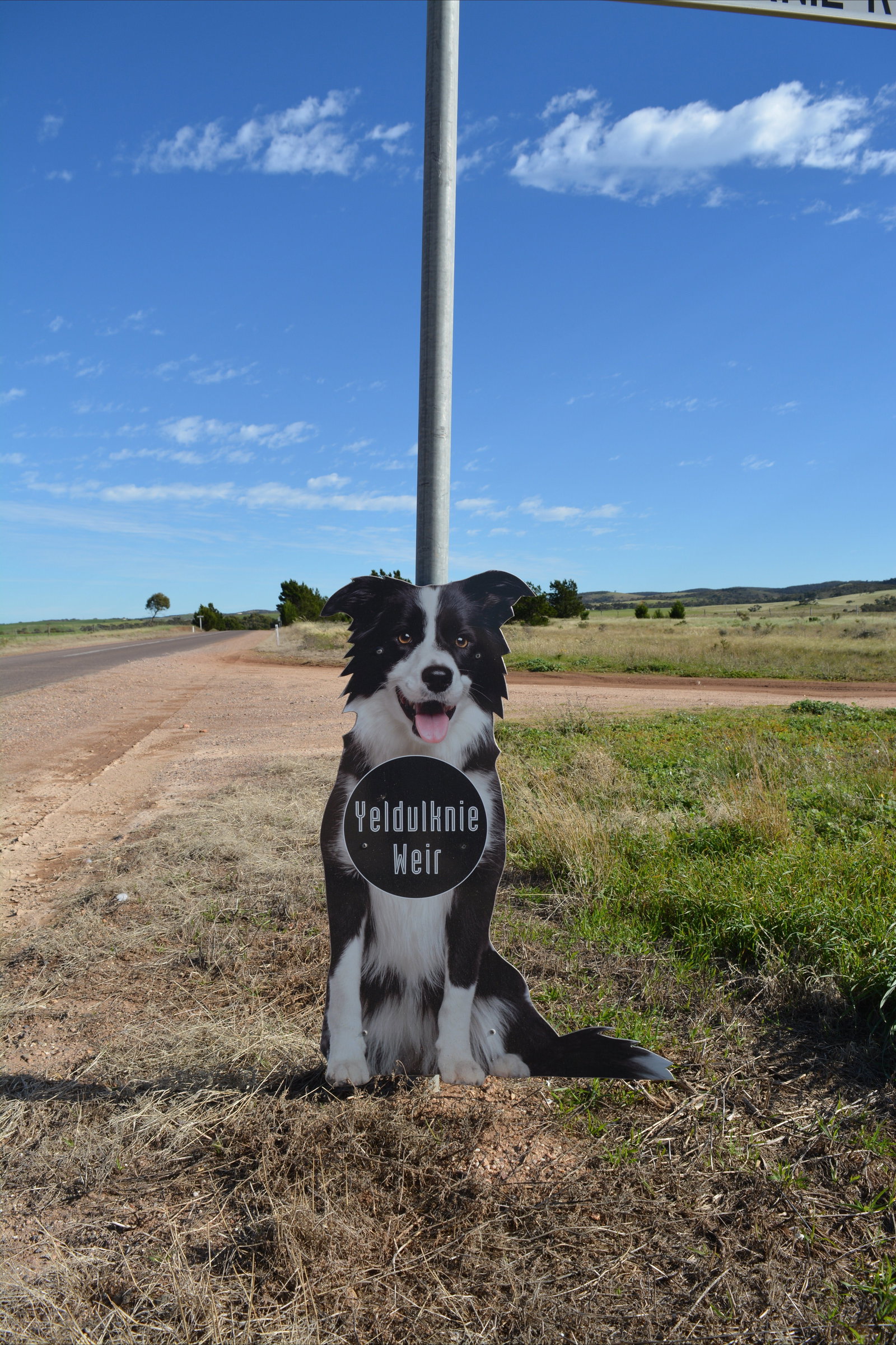 New South Wales Tourism