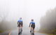 7 Peaks Ride - Lake Mountain - thumb 0