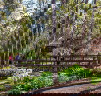 Armadale - New South Wales Tourism 