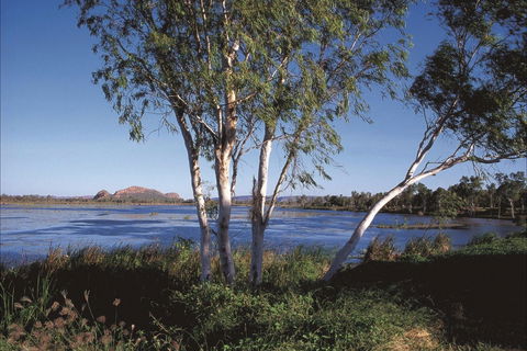 Bandicoot Bar - New South Wales Tourism  0