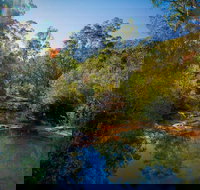 Bargo State Conservation Area - New South Wales Tourism 