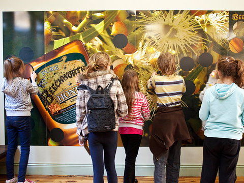Beechworth Honey Shop - New South Wales Tourism  2