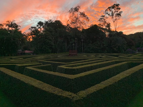 Bellingham Maze - New South Wales Tourism  0