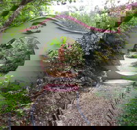 Black Dragon Gardens Wulong Yuan - New South Wales Tourism 