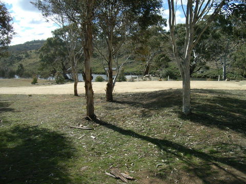 Bombala Platypus Reserve - New South Wales Tourism  0