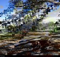 Bowen Mountain Park - New South Wales Tourism 