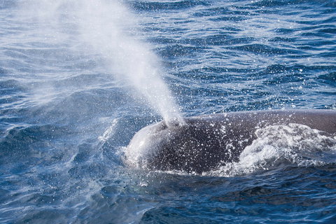 Bremer Bay - New South Wales Tourism  1