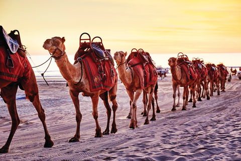 Broome And The Kimberley Coast - New South Wales Tourism  0