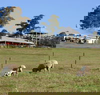 Calmsley Hill City Farm - New South Wales Tourism 