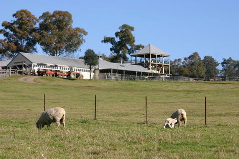 Calmsley Hill City Farm - New South Wales Tourism  0