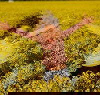 Canola Trail - New South Wales Tourism 