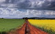 Canola Trail - thumb 1