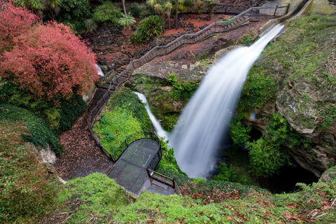 Cave Garden - New South Wales Tourism  0