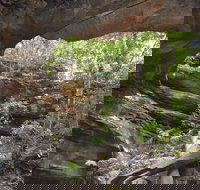 Cave Creek Walking Track - New South Wales Tourism 