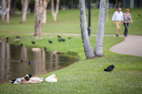 Centenary Lakes Park - New South Wales Tourism  2