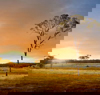 Cooyar - New South Wales Tourism 