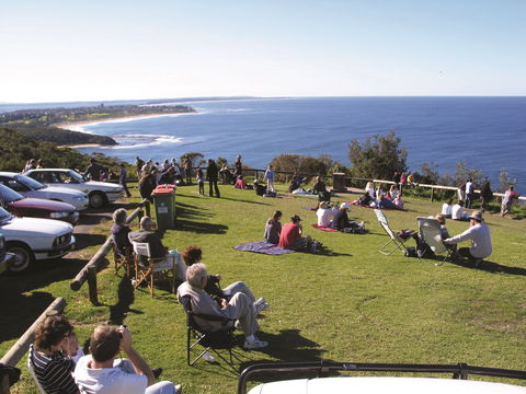 Crackneck Point Lookout - New South Wales Tourism  0