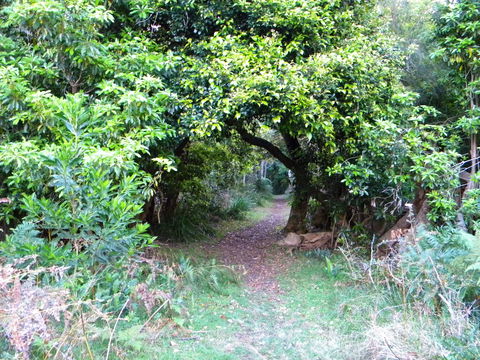 Cunjurong Point - New South Wales Tourism  2