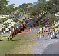 Dayboro - New South Wales Tourism 