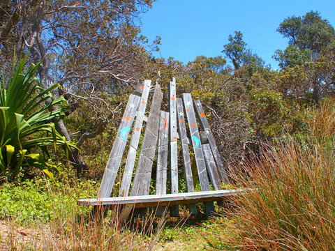 Diggers Headland - New South Wales Tourism  1