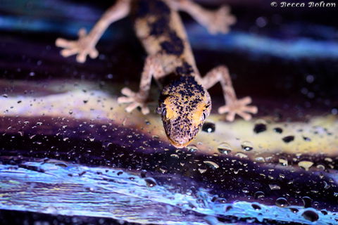 Discover Deadly - New South Wales Tourism  2