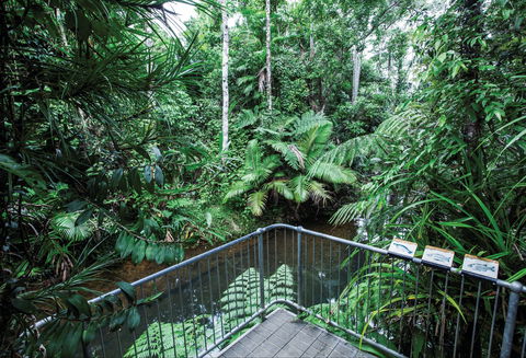 Djiru National Park - New South Wales Tourism  1