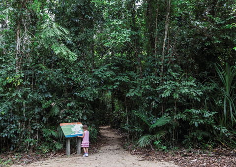 Djiru National Park - New South Wales Tourism  2