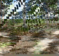 Djukbinj National Park - New South Wales Tourism 