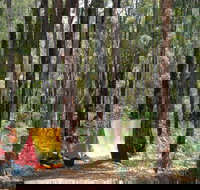 Dwellingup - New South Wales Tourism 