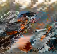 Echuca Paintball Games - New South Wales Tourism 