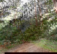 End Peak walking track - New South Wales Tourism 