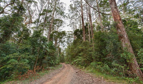 End Peak Walking Track - New South Wales Tourism  0