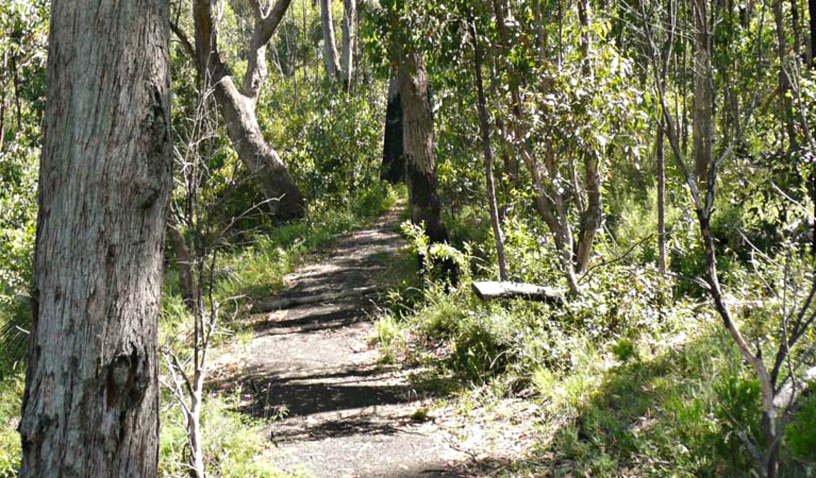  New South Wales Tourism 
