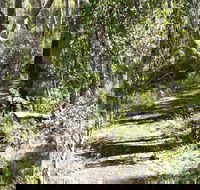 Euglah Rock Walking Track - New South Wales Tourism 