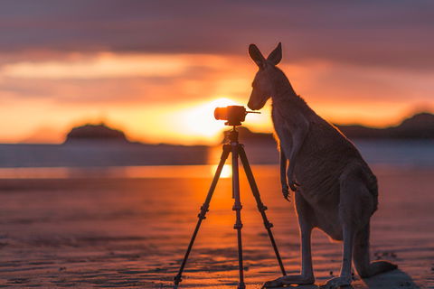 Explore The Mackay Region In Three Days - New South Wales Tourism  0