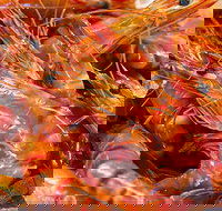 Fish and Fowl - New South Wales Tourism 