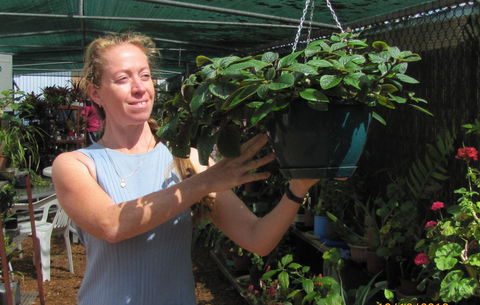 Folk Art Cooperative - New South Wales Tourism  1