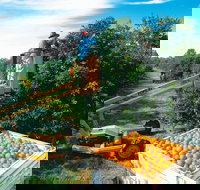 Gayndah's Big Orange - New South Wales Tourism 