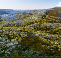 Gold Coast Hinterland Great Walk - New South Wales Tourism 