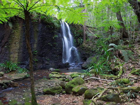 Gold Coast Hinterland Great Walk - New South Wales Tourism  1