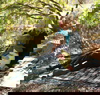 Haig Street Quarry Bushland Reserve Trails - New South Wales Tourism 