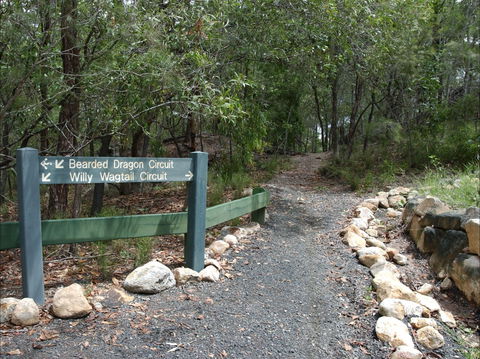 Haig Street Quarry Bushland Reserve Trails - New South Wales Tourism  1