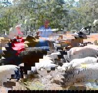 Haigslea EWE Nique Hobby Farm - New South Wales Tourism 