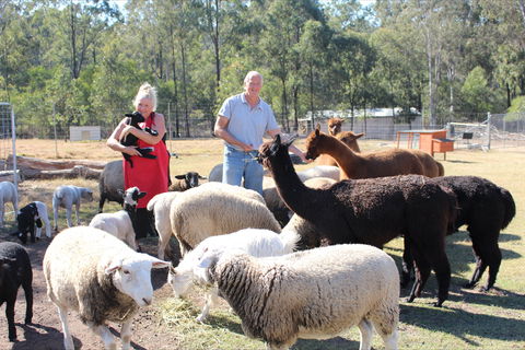 Haigslea EWE Nique Hobby Farm - New South Wales Tourism  0