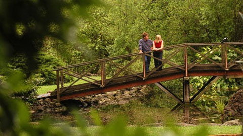 Hamilton - New South Wales Tourism  1