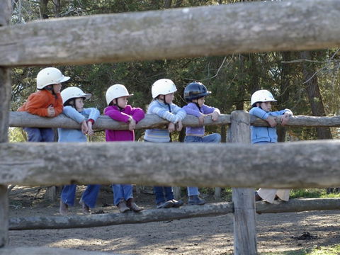 Harlow Park Horse Riding - New South Wales Tourism  0