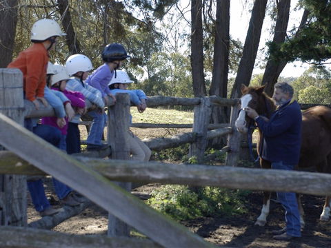 Harlow Park Horse Riding - New South Wales Tourism  2