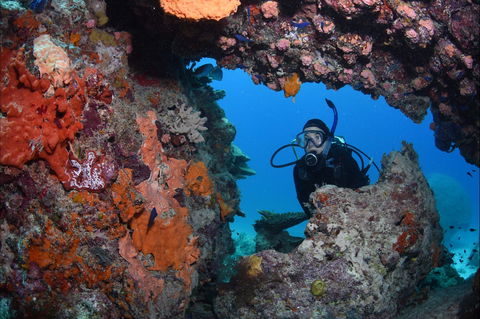 Heron Bommie - New South Wales Tourism  0