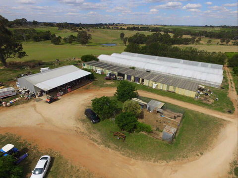 Hill-Lock Orchard - New South Wales Tourism  0